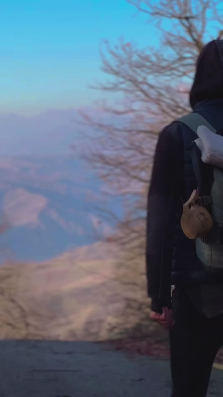 動画を読み込む