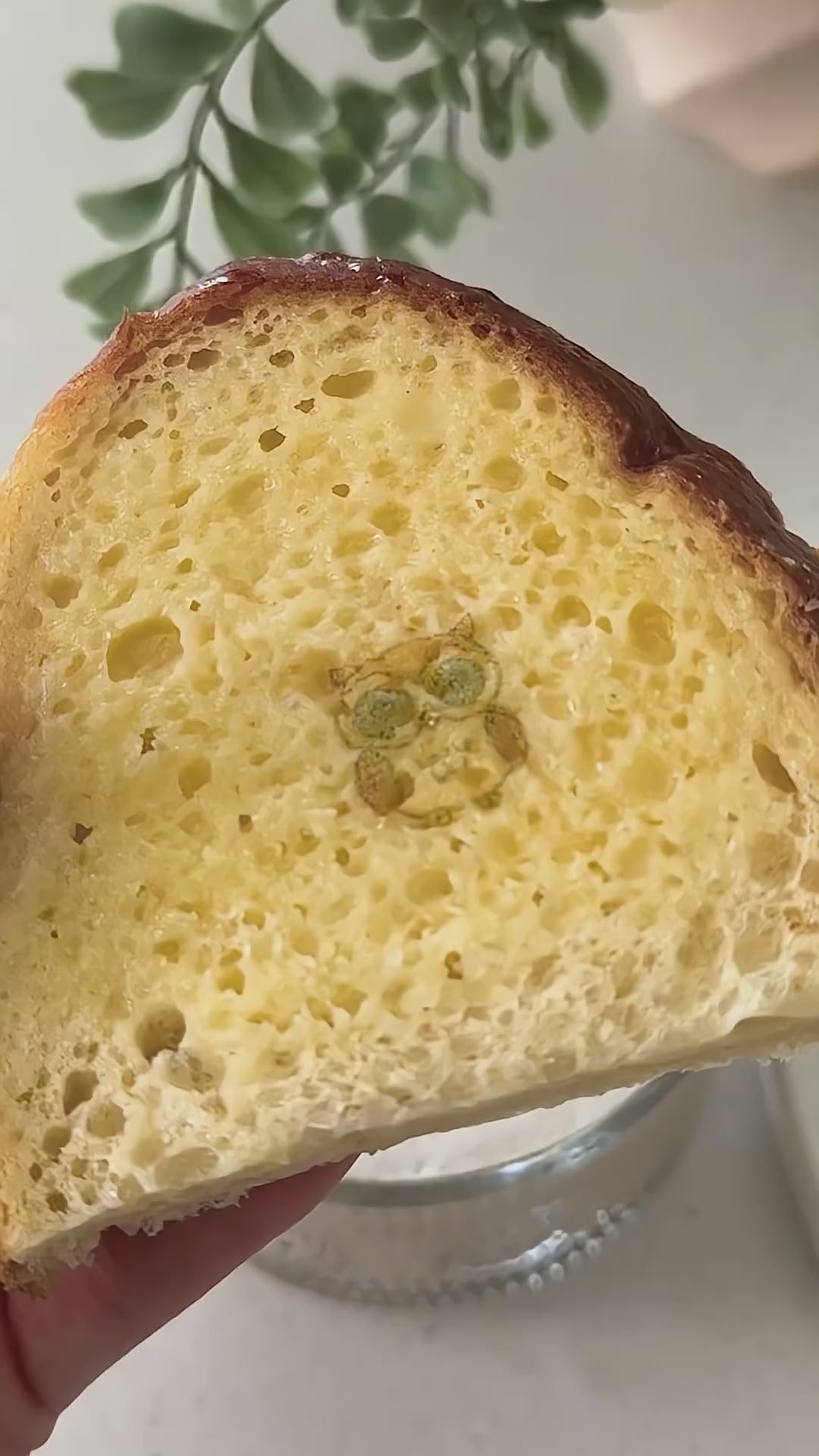 動画を読み込む