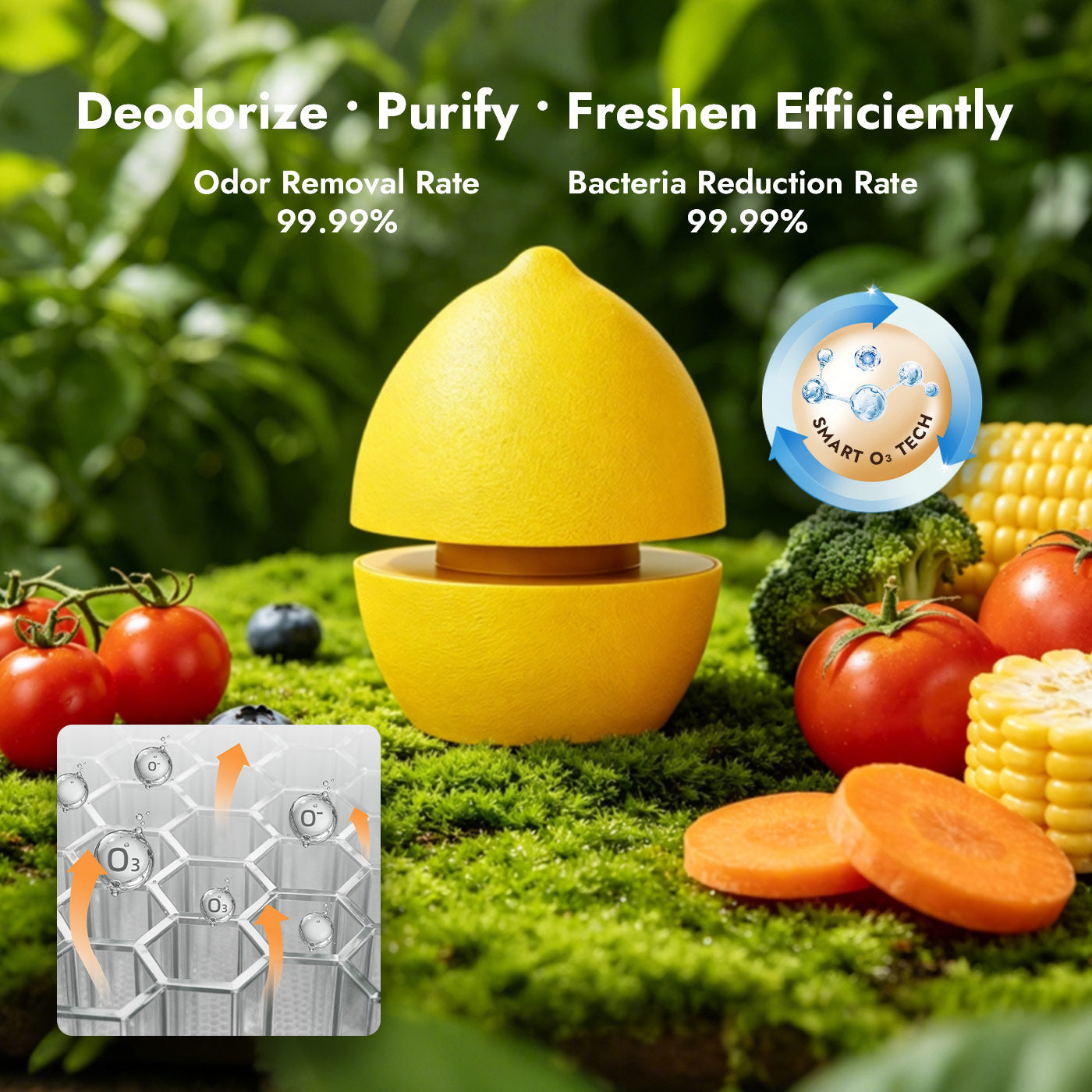 iKoffy FreshGuard Fridge Deodorizer