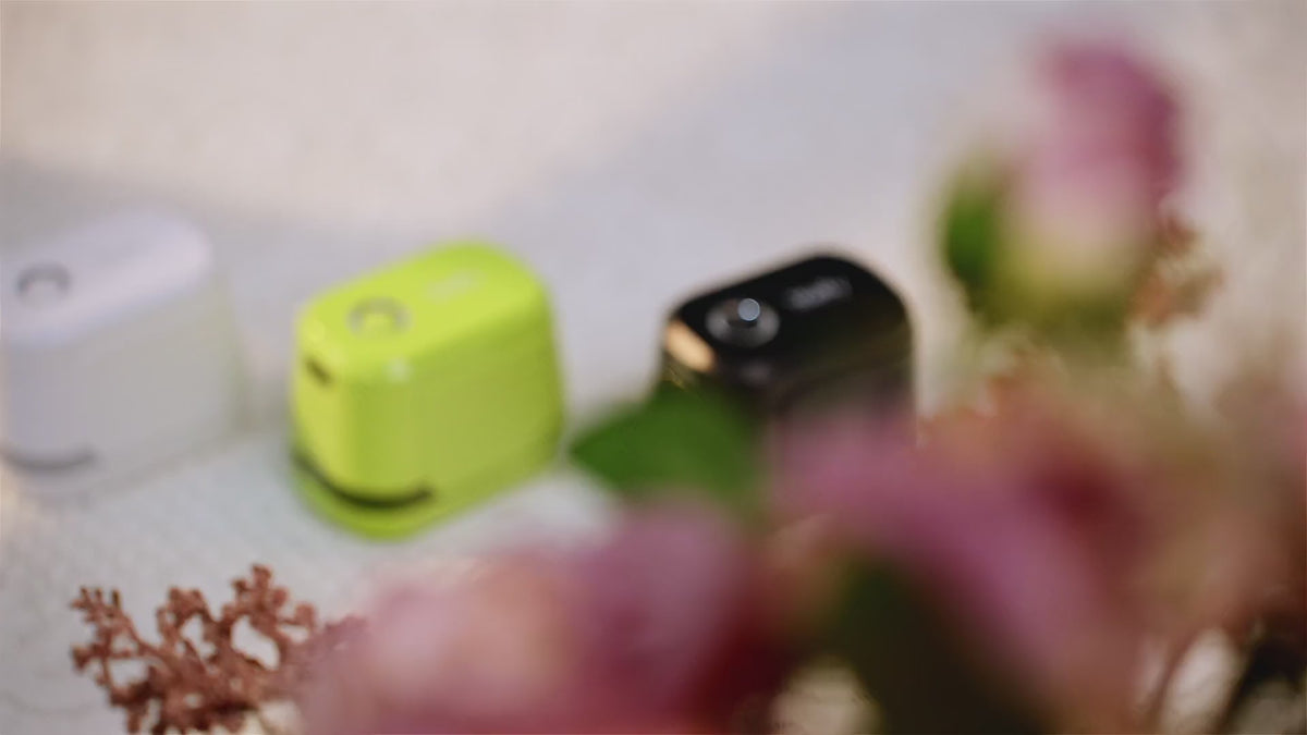 Charger la vidéo: edibot video