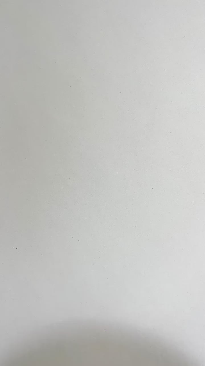 Charger la vidéo: 